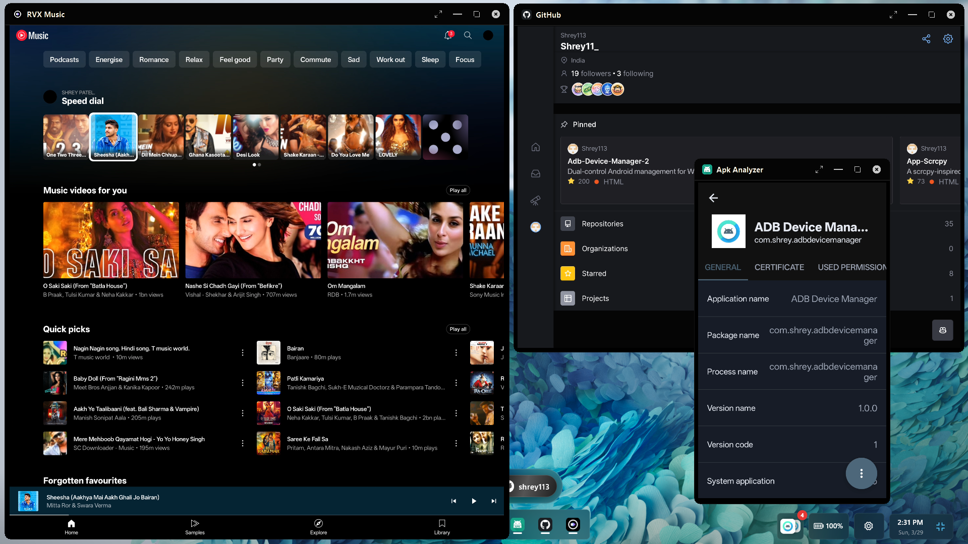 Multi-Window