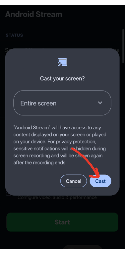 Cast your screen dialog